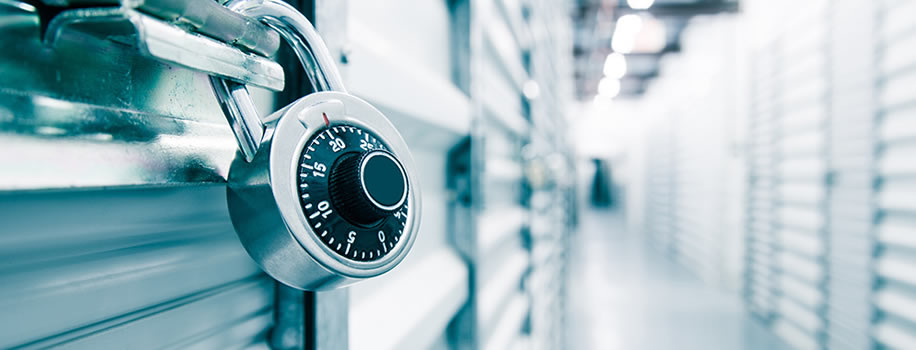 Security Solutions for Storage Facilities in Princeton,  IL